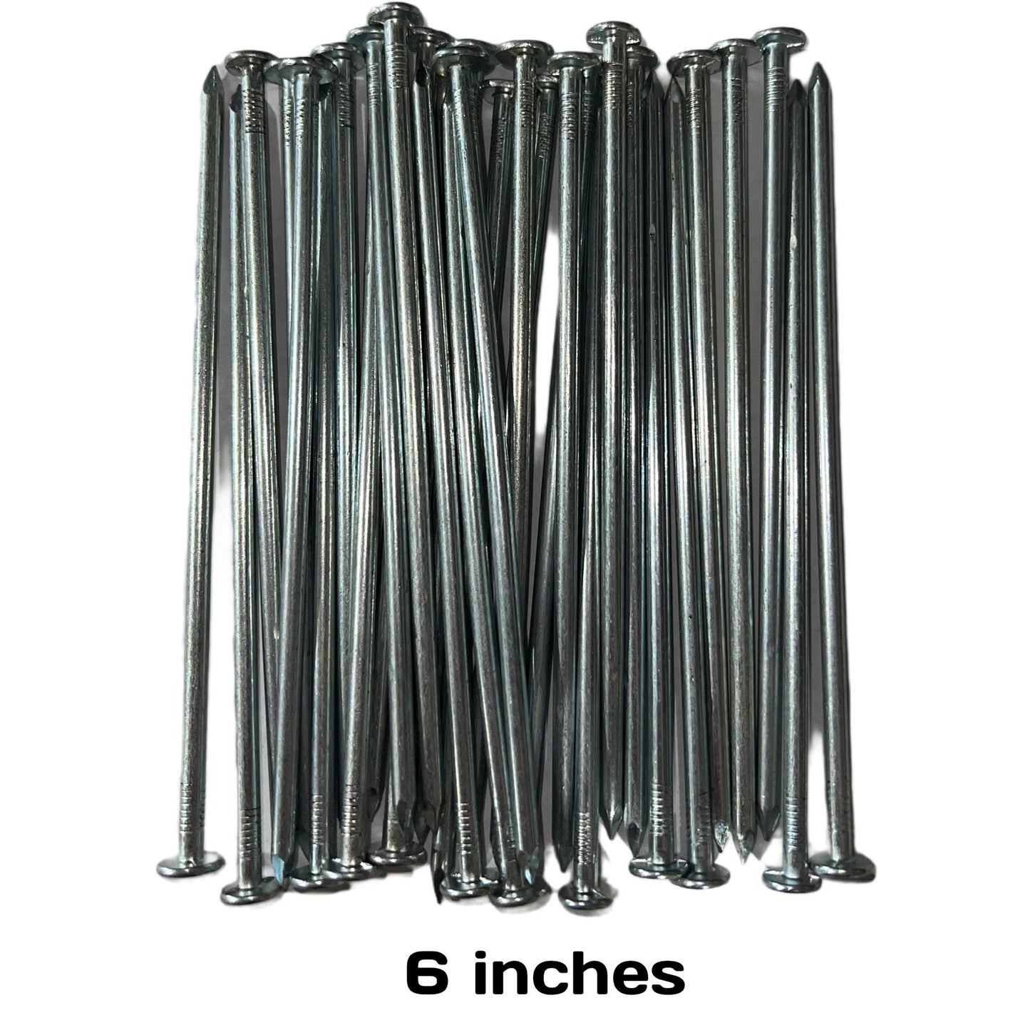 Turf Nails 6” Galvanized