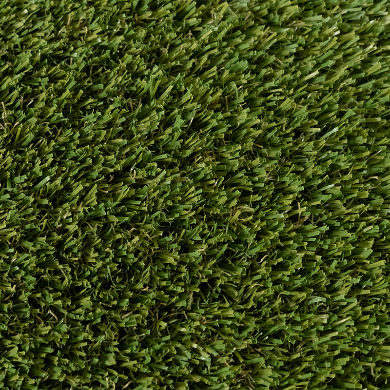 DreamScape™ - Flow 98 Forest