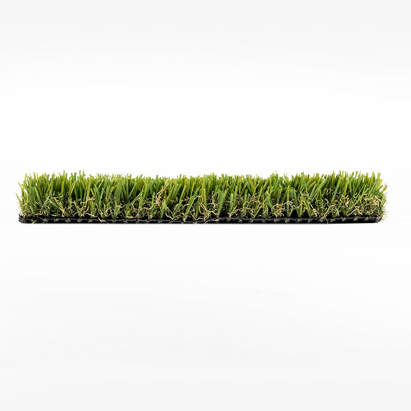 EvoScape™ - Evo 001