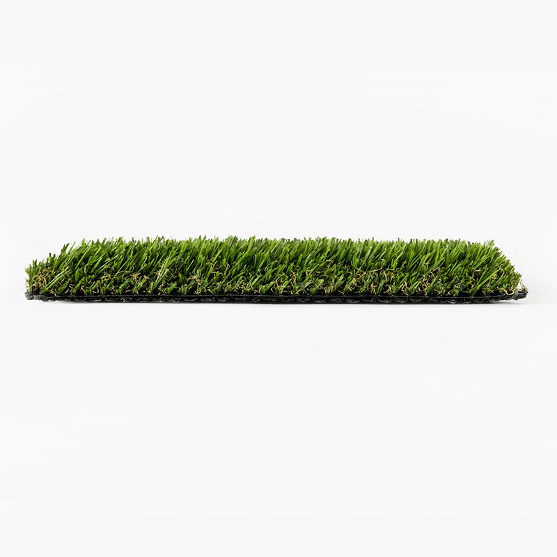 EvoScape™ - Evo 002