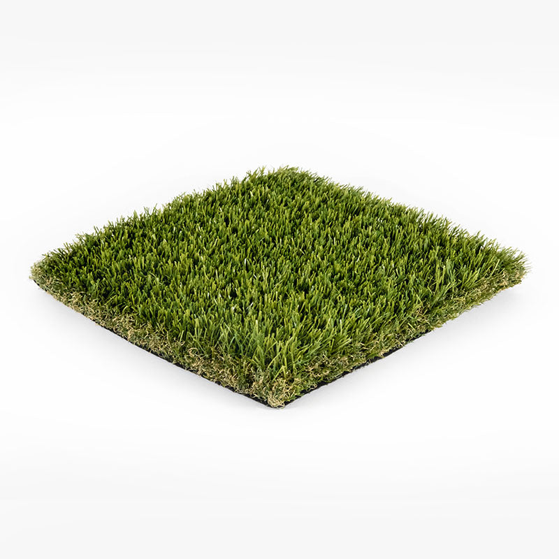 EvoScape™ - Evo 003