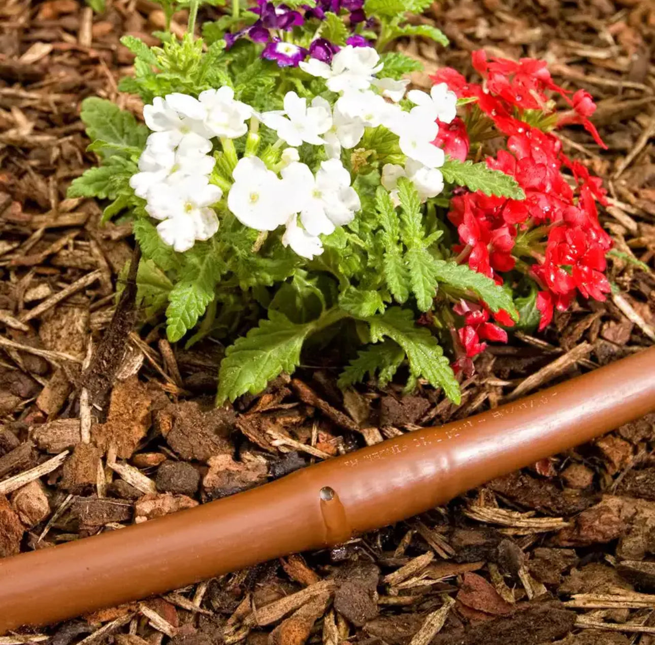1/2" Pressure Compensating Dripline with Check Valve 1.0 GPH (17 mm, 12" Spacing, Brown, 100' Coil)