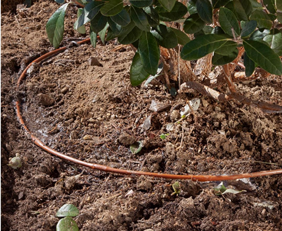 1/2" Pressure Compensating Dripline with Check Valve 1.0 GPH (17 mm, 12" Spacing, Brown, 100' Coil)
