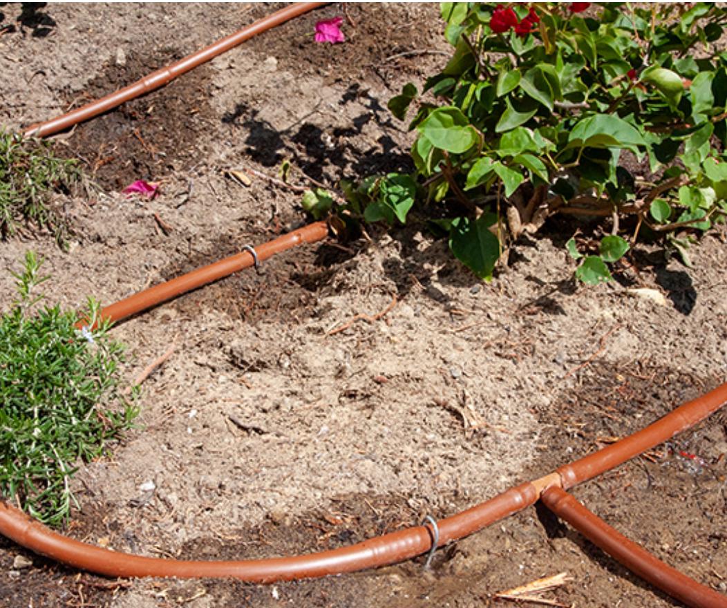 1/2" Pressure Compensating Dripline with Check Valve 1.0 GPH (17 mm, 12" Spacing, Brown, 100' Coil)