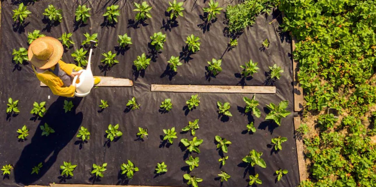 Heavy-Duty Weed Barrier Fabric 3' x 50' – Long-Lasting Landscape Fabric (Up to 8 Years)