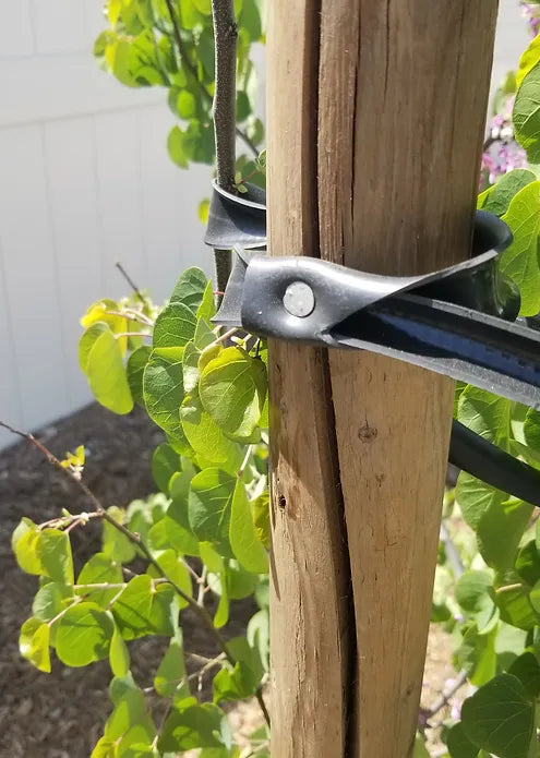 32-Inch Tree Ties with Complimentary Nail (Black)