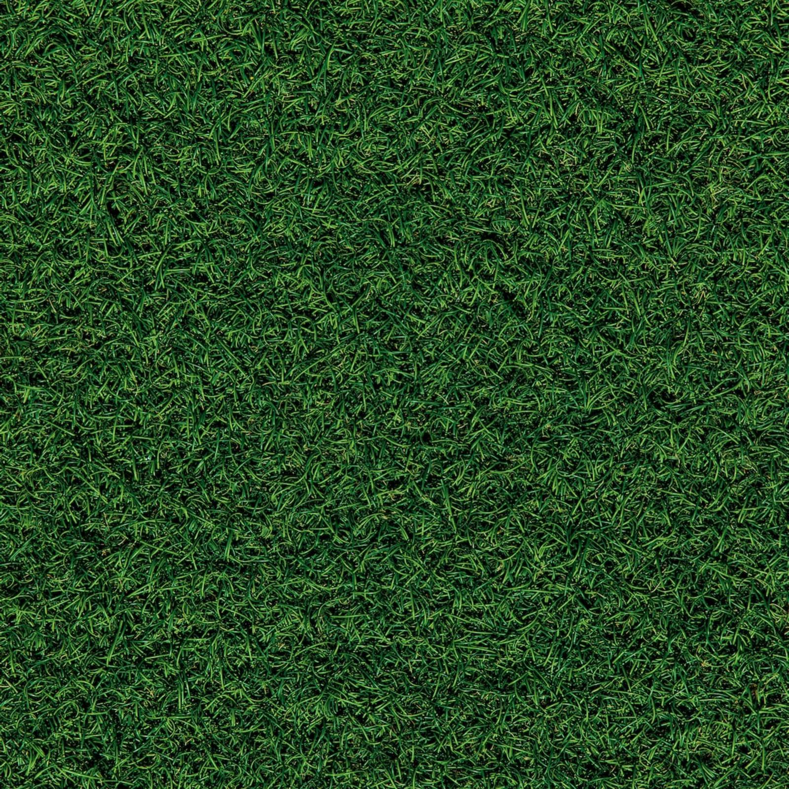 Monarca supplies LLC Monarca Supplies